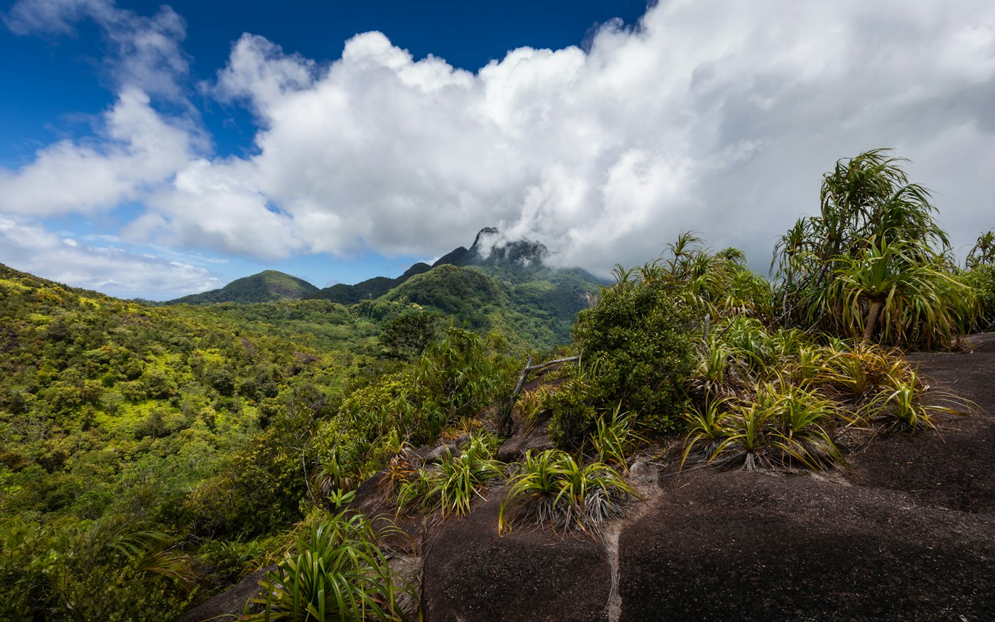 Green mountain landscape in the Seychelles